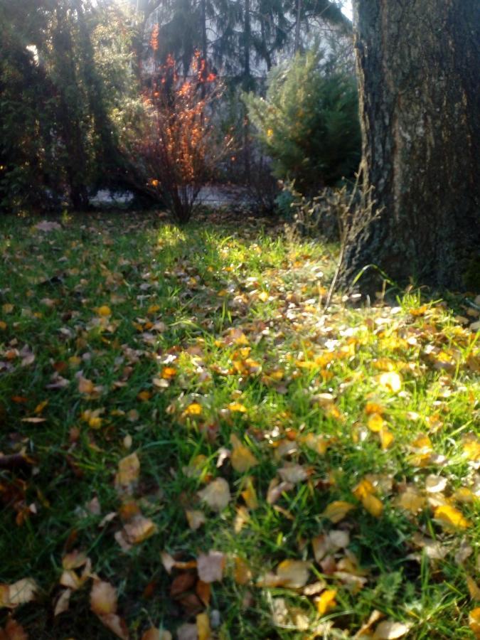 Roztoczanski Dworek Zamość Εξωτερικό φωτογραφία
